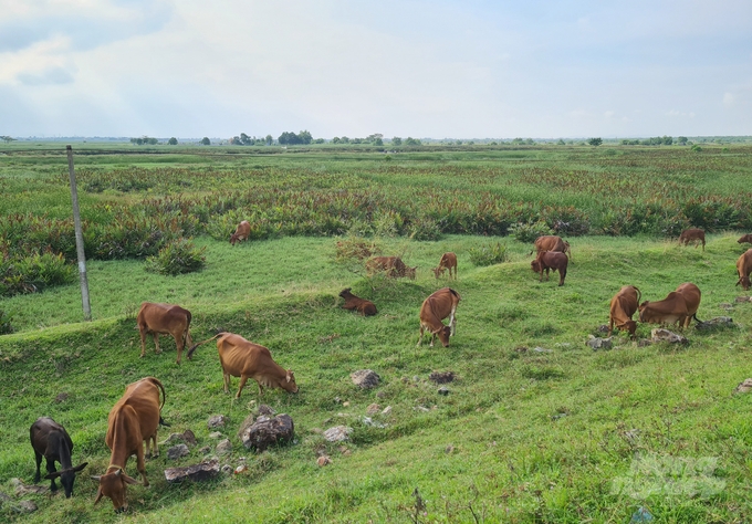Ecopark rao bán dự án khu đô thị Hưng Hòa, nhà đầu tư cần cẩn trọng Ecopark rao bán dự án khu đô thị Hưng Hòa, nhà đầu tư cần cẩn trọng