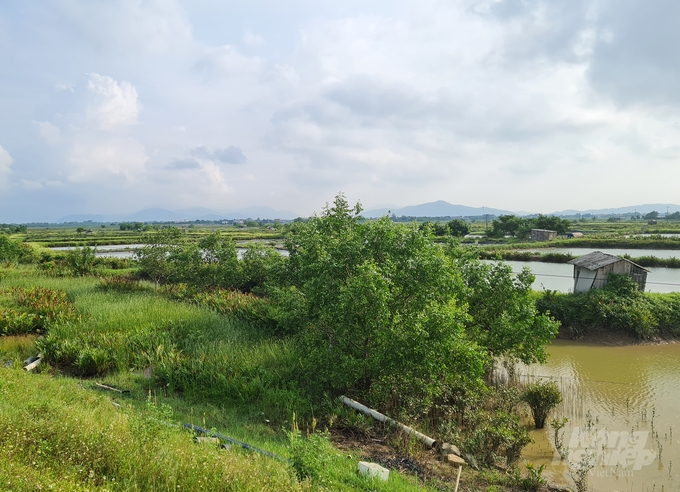 Ecopark rao bán dự án khu đô thị Hưng Hòa, nhà đầu tư cần cẩn trọng Ecopark rao bán dự án khu đô thị Hưng Hòa, nhà đầu tư cần cẩn trọng