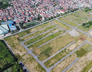 Huyện Đông Anh đấu giá đất thu gần 1.800 tỷ đồng, cao nhất Hà Nội