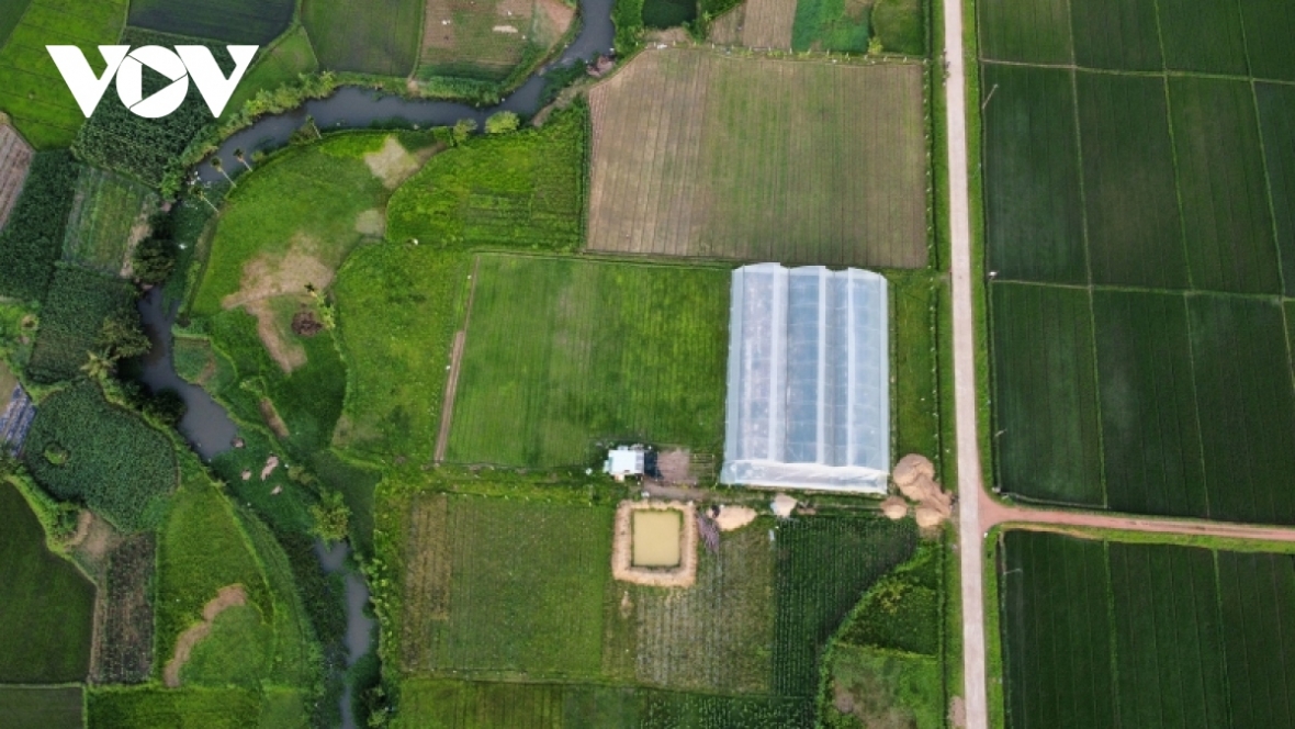 Nông sản Bình Định dễ tiếp cận hơn nhờ lên sàn thương mại điện tử