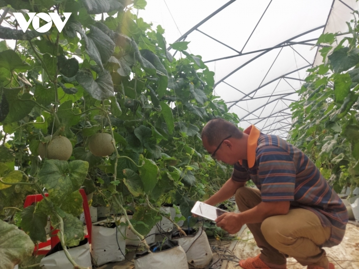 Nông sản Bình Định dễ tiếp cận hơn nhờ lên sàn thương mại điện tử