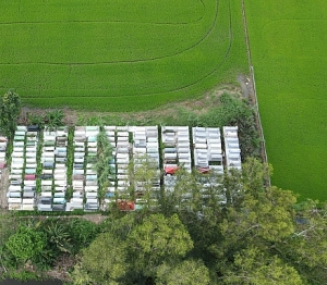 TP. Hà Tĩnh: Cần quyết liệt ngăn chặn tình trạng biến đất nông nghiệp thành nghĩa trang