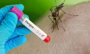 Dịch sốt xuất huyết chưa "hạ nhiệt", nhiều ca trở nặng do nhầm với COVID-19