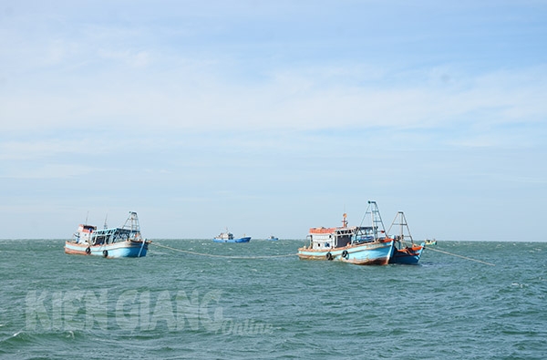 Kiên Giang còn 2.500 tàu cá đóng mới tự phát