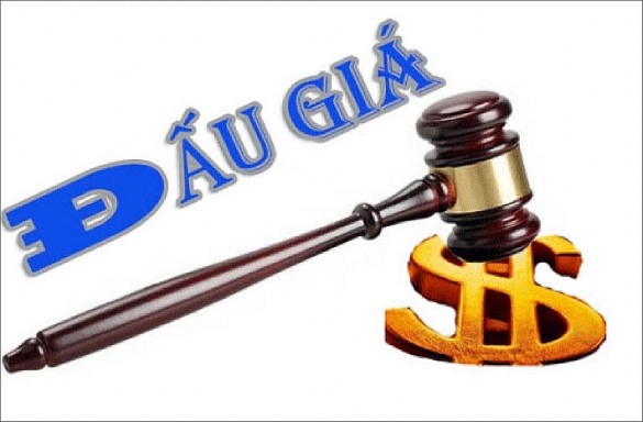 Đấu giá 5 tài sản thi hành án tại Vĩnh Phúc