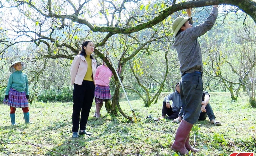 Chuyển giao khoa học kỹ thuật cho nông dân