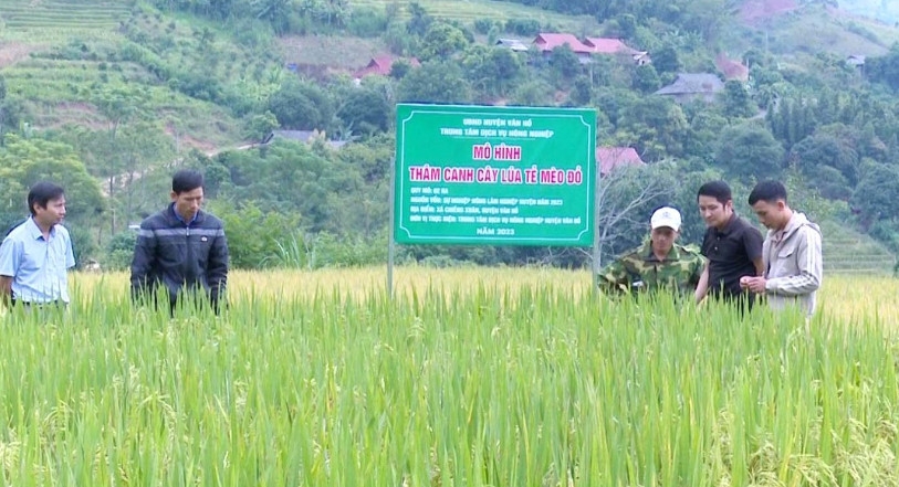 Chuyển giao khoa học kỹ thuật cho nông dân