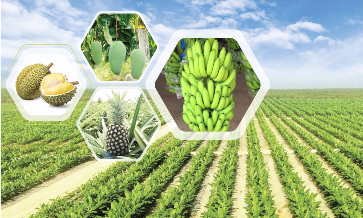 THACO - Dấu ấn một năm trở thành Tập đoàn công nghiệp đa ngành