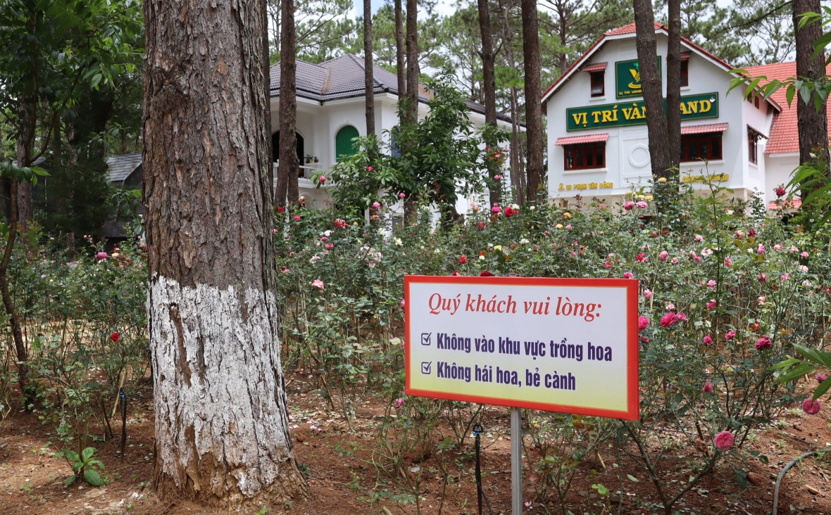 Kon Tum: Kon Plông chú trọng phát triển “du lịch xanh”
