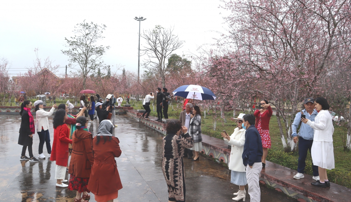 Kon Tum: Kon Plông chú trọng phát triển “du lịch xanh”