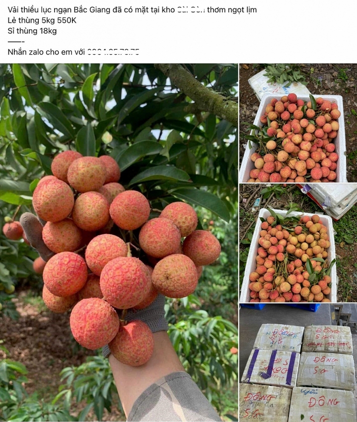 Thị trường vải thiều vào mùa