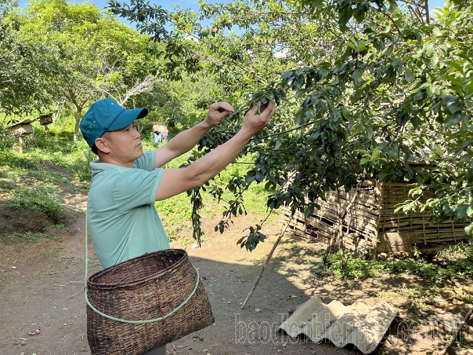 Điện Biên: Đảng viên trẻ gương mẫu, đi đầu Điện Biên: Đảng viên trẻ gương mẫu, đi đầu