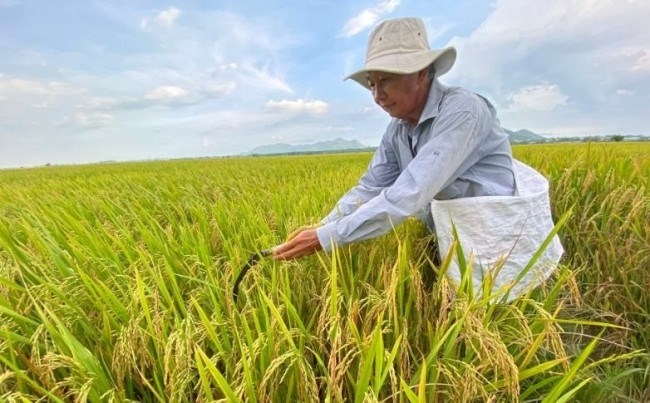 Củng cố vị thế doanh nghiệp trong thương mại đầu tư toàn cầu | Doanh nghiệp