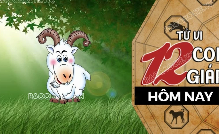 Tử vi hôm nay, xem tử vi 12 con giáp hôm nay ngày 17/11/2024: Tuổi Mùi tình cảm êm đẹp Tử vi hôm nay, xem tử vi 12 con giáp hôm nay ngày 17/11/2024: Tuổi Mùi tình cảm êm đẹp