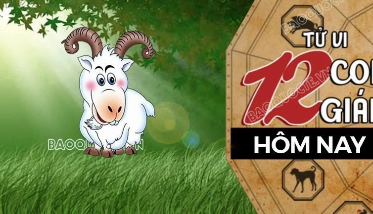 Tử vi hôm nay, xem tử vi 12 con giáp hôm nay ngày 5/12/2024: Tuổi Mùi tài lộc nhận tin vui Tử vi hôm nay, xem tử vi 12 con giáp hôm nay ngày 5/12/2024: Tuổi Mùi tài lộc nhận tin vui