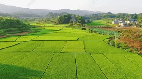 VCCI đề xuất giảm 30% tiền thuê đất năm 2025