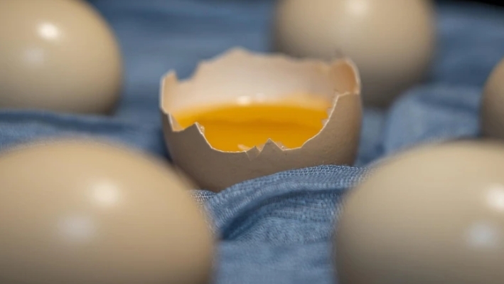 Ăn trứng thường xuyên có giúp bạn khỏe hơn?