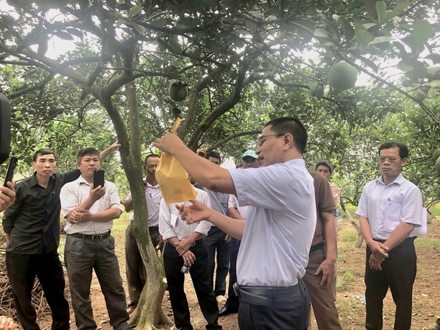 Nâng cao kiến thức khoa học kỹ thuật phát triển sản xuất hiệu quả Nâng cao kiến thức khoa học kỹ thuật phát triển sản xuất hiệu quả