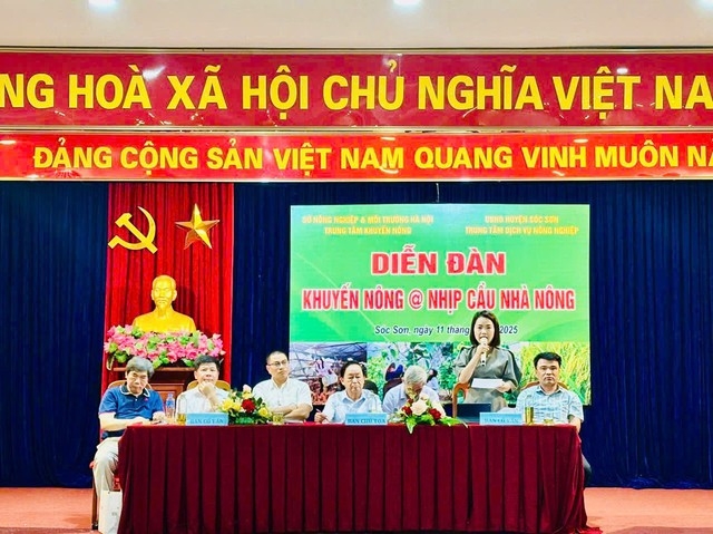 Nâng cao kiến thức khoa học kỹ thuật phát triển sản xuất hiệu quả Nâng cao kiến thức khoa học kỹ thuật phát triển sản xuất hiệu quả