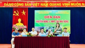 Nâng cao kiến thức khoa học kỹ thuật phát triển sản xuất hiệu quả