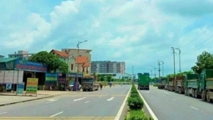 Ninh Bình đấu giá đất dự án khu nhà ở với giá khởi điểm hơn 160 tỷ đồng