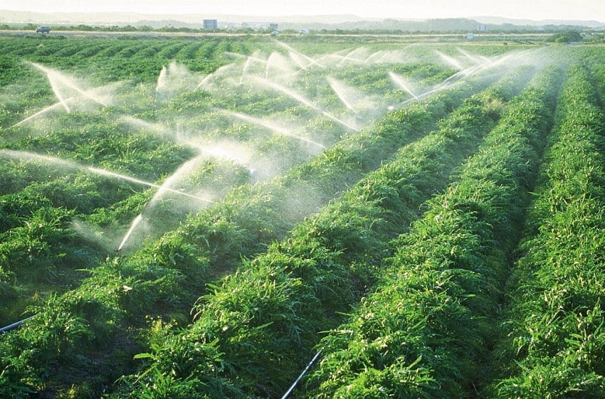 "Chìa khóa xanh" đưa nông sản Việt vào sâu chuỗi giá trị toàn cầu "Chìa khóa xanh" đưa nông sản Việt vào sâu chuỗi giá trị toàn cầu