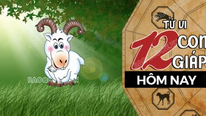 Tử vi hôm nay, xem tử vi 12 con giáp hôm nay ngày 28/9/2025: Tuổi Mùi chi tiêu hợp lý