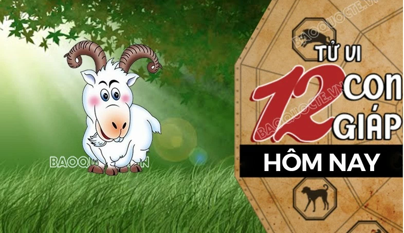 Tử vi hôm nay, xem tử vi 12 con giáp hôm nay ngày 14/11/2025: Tuổi Mùi tình cảm chân thành Tử vi hôm nay, xem tử vi 12 con giáp hôm nay ngày 14/11/2025: Tuổi Mùi tình cảm chân thành