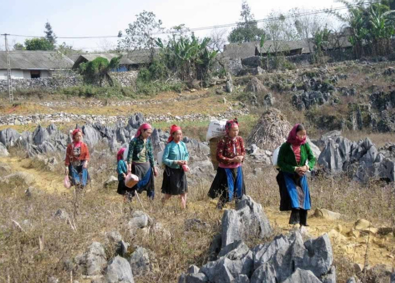 Cao nguyên đá Đồng Văn giành Cúp chiến thắng giải thưởng Du lịch Thế giới 2025 Cao nguyên đá Đồng Văn giành Cúp chiến thắng giải thưởng Du lịch Thế giới 2025