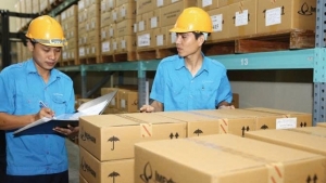 Trượt khỏi đường đua vì dự thầu thiếu chuyên nghiệp