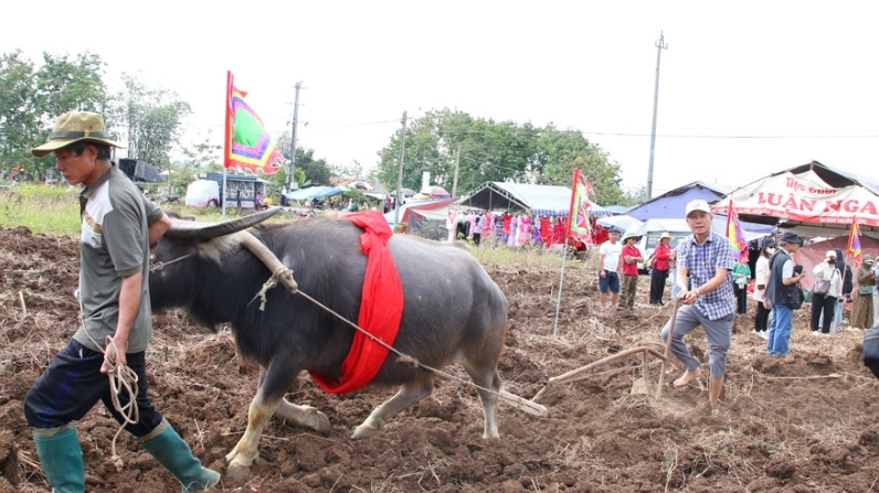 Lưu giữ sắc màu văn hóa Tày, Nùng từ lễ hội Lồng Tồng ở Tây Nguyên