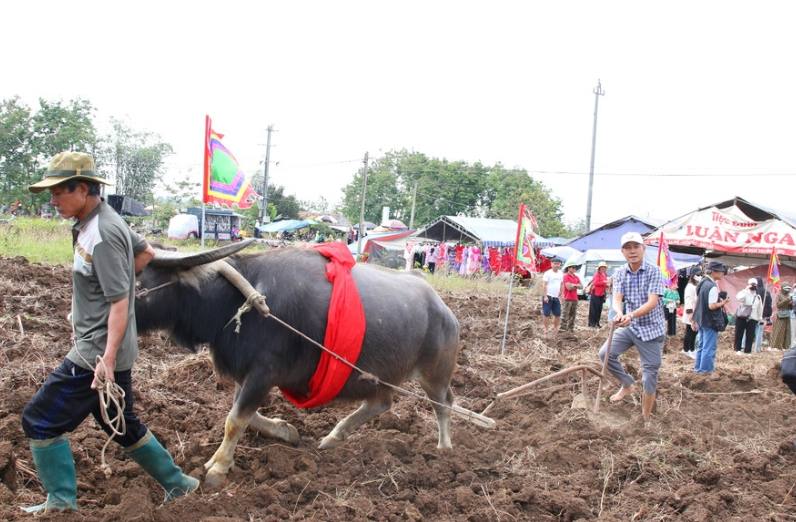 Lưu giữ sắc màu văn hóa Tày, Nùng từ lễ hội Lồng Tồng ở Tây Nguyên