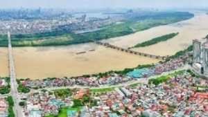 Hải Phòng: Đấu giá quyền sử dụng 48 lô đất ở tại xã Thượng Hồng, giá khởi điểm là 11,5 triệu đồng/m2