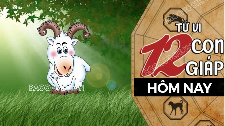 Tử vi hôm nay, xem tử vi 12 con giáp hôm nay ngày 23/5/2026: Tuổi Mùi đầu tư thuận lợi