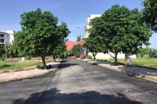 Hưng Yên: Đấu giá 43 thửa đất ở tại phường Sơn Nam với giá khởi điểm hơn 116 tỷ đồng