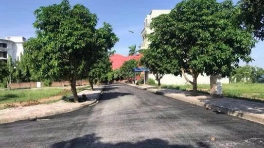 Hưng Yên: Đấu giá 43 thửa đất ở tại phường Sơn Nam với giá khởi điểm hơn 116 tỷ đồng
