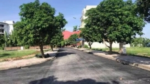 Hưng Yên: Đấu giá 43 thửa đất ở tại phường Sơn Nam với giá khởi điểm hơn 116 tỷ đồng