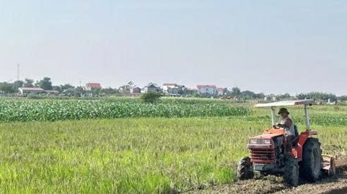 Bắc Ninh sẽ đấu giá 16 lô đất tại khu dân cư thôn Ngùi, thôn Tân Thể và thôn Thúy Cầu - Hội Phú