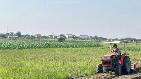 Bắc Ninh sẽ đấu giá 16 lô đất tại khu dân cư thôn Ngùi, thôn Tân Thể và thôn Thúy Cầu - Hội Phú