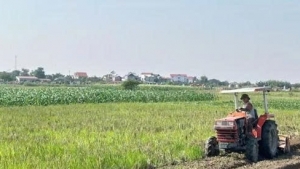 Bắc Ninh sẽ đấu giá 16 lô đất tại khu dân cư thôn Ngùi, thôn Tân Thể và thôn Thúy Cầu - Hội Phú