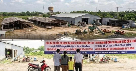 Đấu giá hơn 3,4 ha đất và hệ thống nhà xưởng của Công ty Xây dựng và Đầu tư Thành Thắng tại Cần Thơ