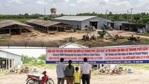 Đấu giá hơn 3,4 ha đất và hệ thống nhà xưởng của Công ty Xây dựng và Đầu tư Thành Thắng tại Cần Thơ