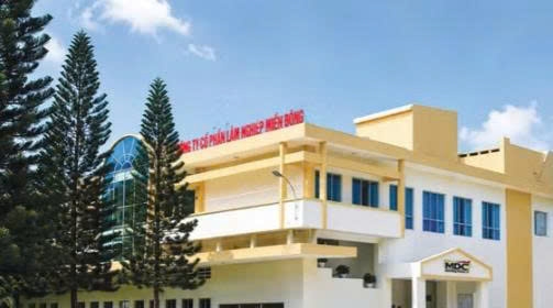 Vinafor muốn thoái vốn tại Lâm nghiệp Miền Đông Vinafor muốn thoái vốn tại Lâm nghiệp Miền Đông