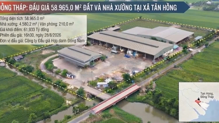 Đồng Tháp: Đấu giá 58.965 m² đất và nhà xưởng tại xã Tân Hồng