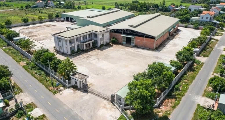 An Giang: Đấu giá cơ sở sản xuất kinh doanh xã Bình Hòa, khởi điểm hơn 163 tỷ đồng