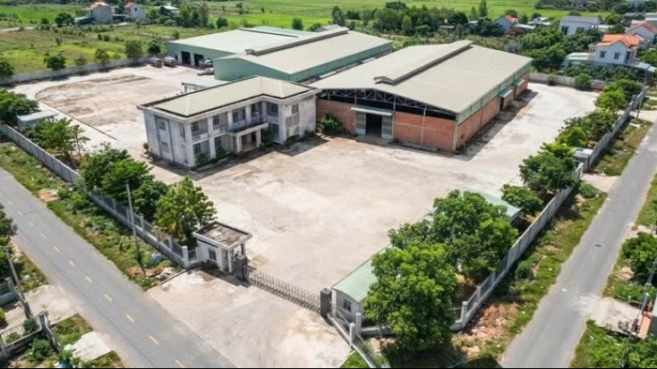 An Giang: Đấu giá cơ sở sản xuất kinh doanh xã Bình Hòa, khởi điểm hơn 163 tỷ đồng