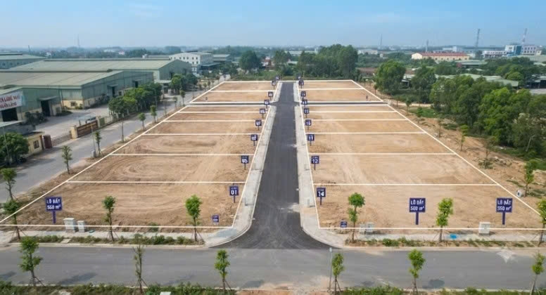 Phú Thọ: Đấu giá cho thuê 14 lô đất tại cụm công nghiệp Làng Nghề, xã Xuân Lãng Phú Thọ: Đấu giá cho thuê 14 lô đất tại cụm công nghiệp Làng Nghề, xã Xuân Lãng