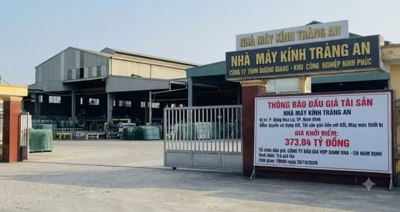 Ninh Bình đấu giá tài sản Nhà máy kính Tràng An với giá khởi điểm hơn 373 tỷ đồng