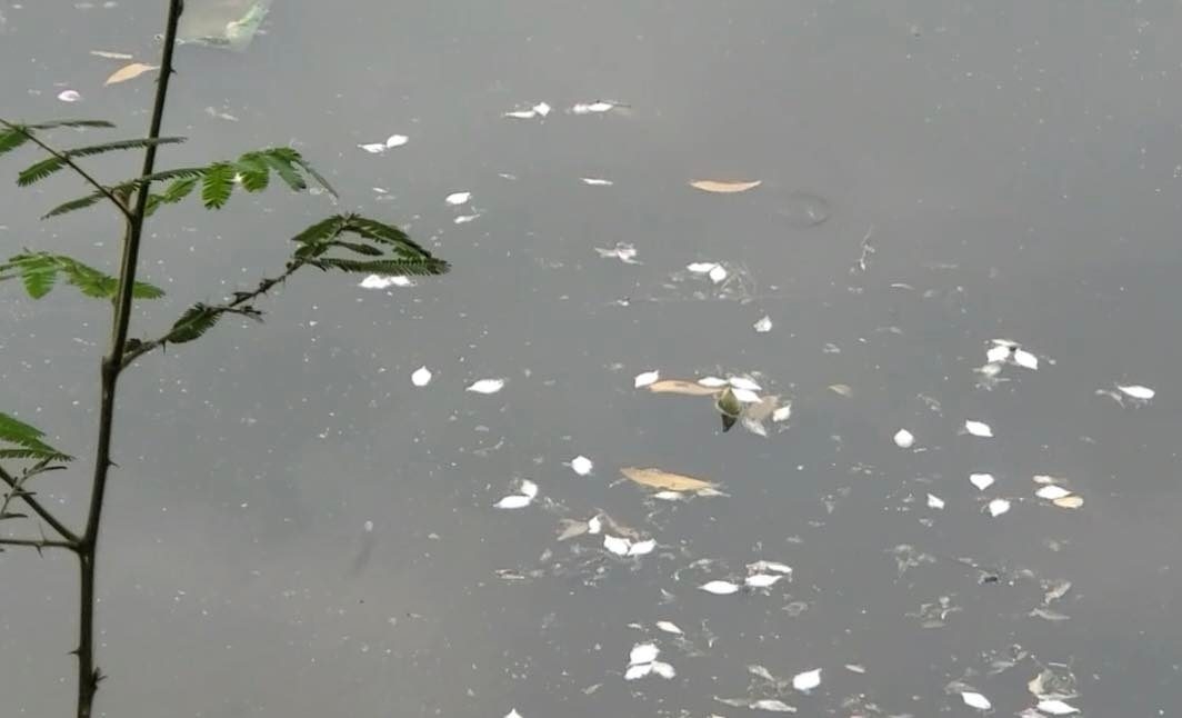 Thạch Thất (Hà Nội): Cần làm rõ những dấu hiệu “bức tử” tại hồ Đá Dựng Thạch Thất (Hà Nội): Cần làm rõ những dấu hiệu “bức tử” tại hồ Đá Dựng