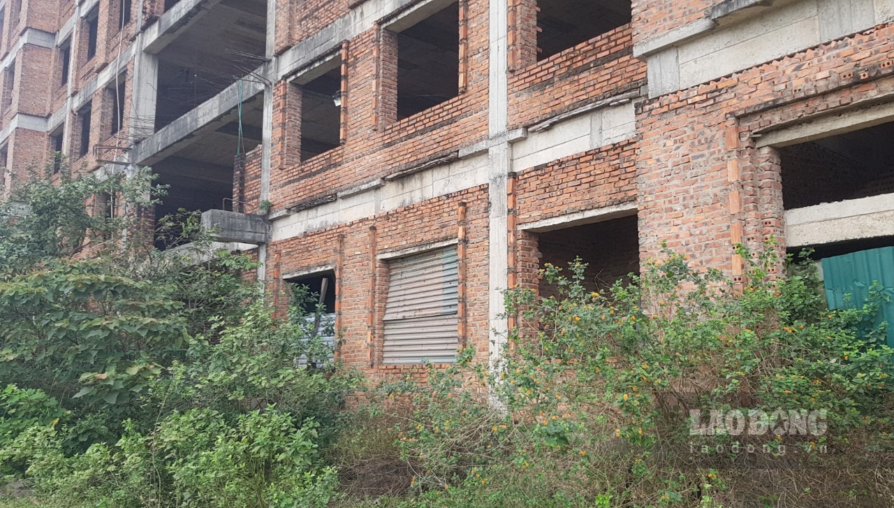 Nhiều hạng mục thuộc dự án Trường Đại học Hoa Lư xây dựng dở dang, bỏ hoang nhiều năm. Ảnh: Nguyễn Trường